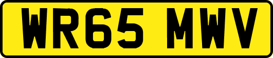 WR65MWV