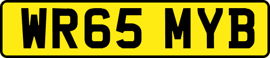 WR65MYB