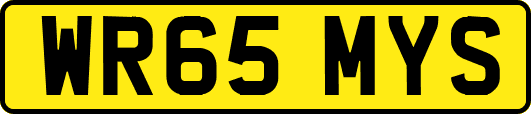 WR65MYS