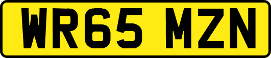 WR65MZN