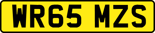 WR65MZS
