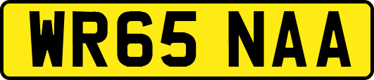 WR65NAA