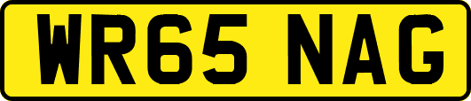 WR65NAG