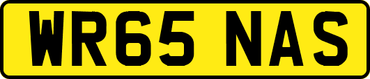 WR65NAS