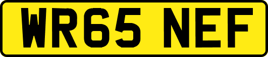 WR65NEF