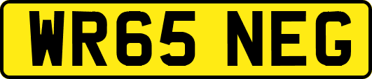 WR65NEG