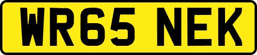 WR65NEK