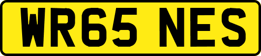 WR65NES