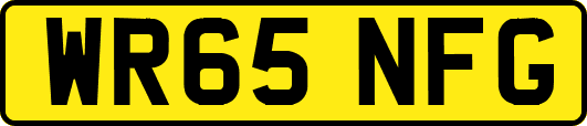 WR65NFG
