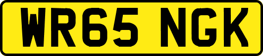 WR65NGK