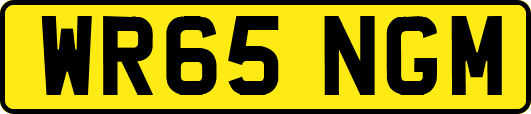 WR65NGM