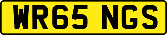 WR65NGS