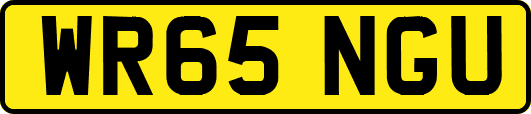 WR65NGU
