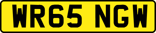 WR65NGW