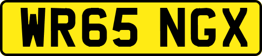 WR65NGX