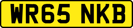 WR65NKB