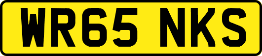 WR65NKS