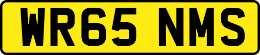 WR65NMS