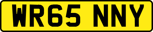 WR65NNY