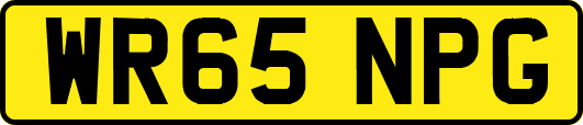 WR65NPG