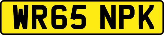 WR65NPK