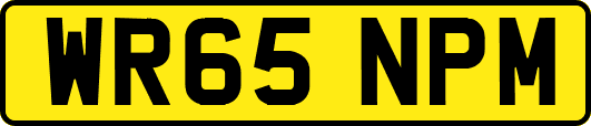 WR65NPM