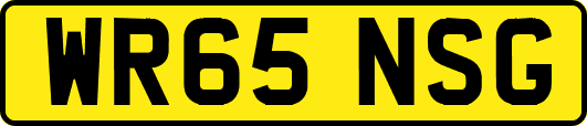 WR65NSG