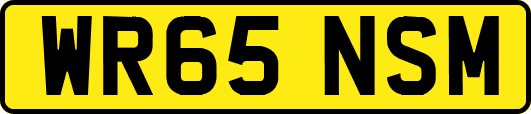 WR65NSM