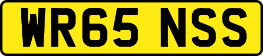 WR65NSS