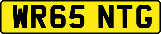 WR65NTG