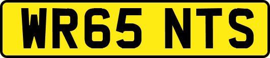 WR65NTS