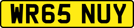 WR65NUY