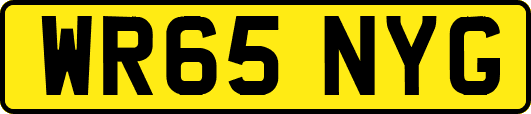 WR65NYG