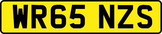 WR65NZS