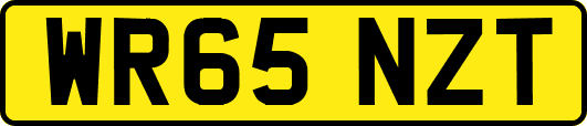 WR65NZT