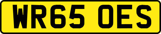 WR65OES