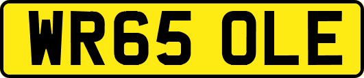 WR65OLE