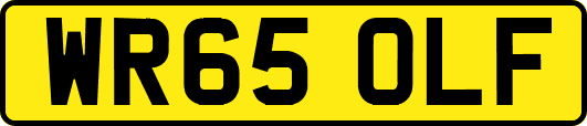 WR65OLF