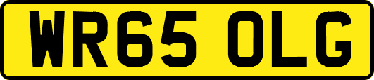WR65OLG