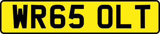 WR65OLT