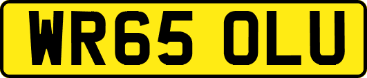 WR65OLU