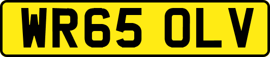 WR65OLV