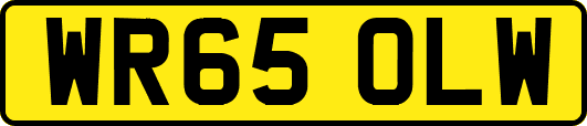 WR65OLW