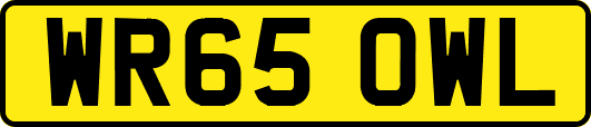WR65OWL