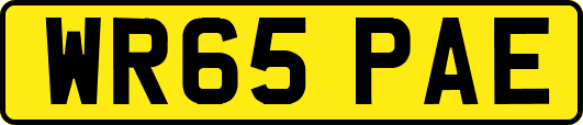 WR65PAE
