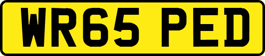 WR65PED