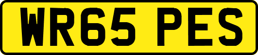WR65PES
