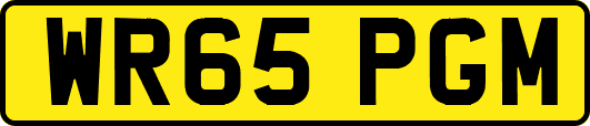 WR65PGM