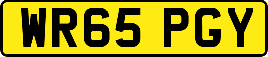 WR65PGY