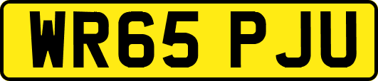 WR65PJU